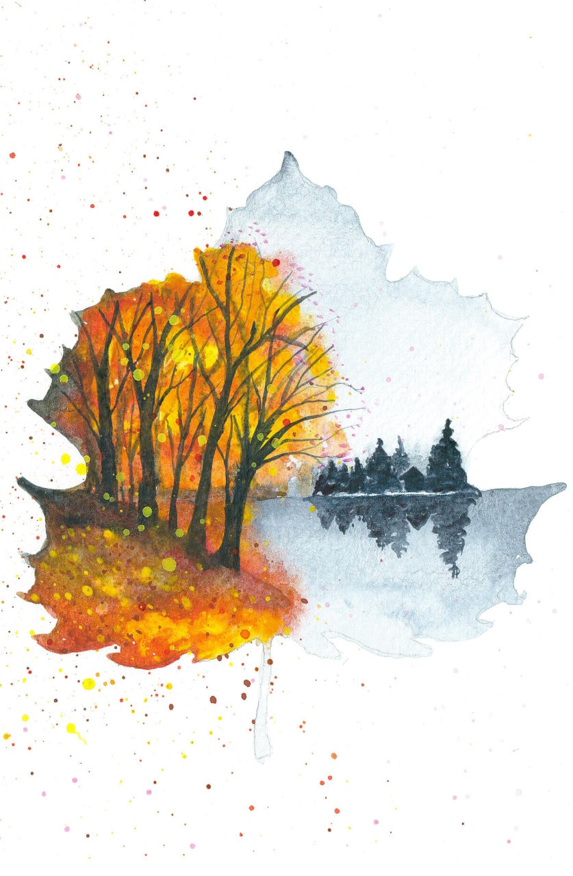 Autumn to Winter